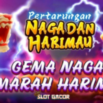Kumpulan Slot Gacor Hari Ini 2026 Resmi Dan Terpercaya